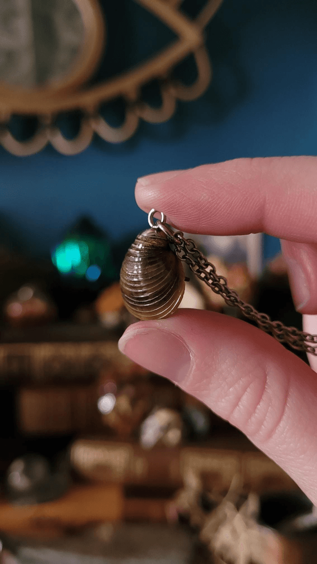 Coquillage : Divination 