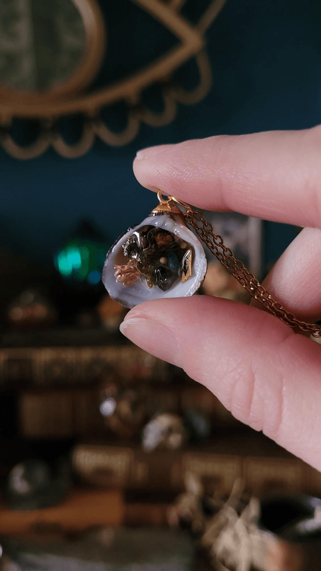 Coquillage : Réussite 