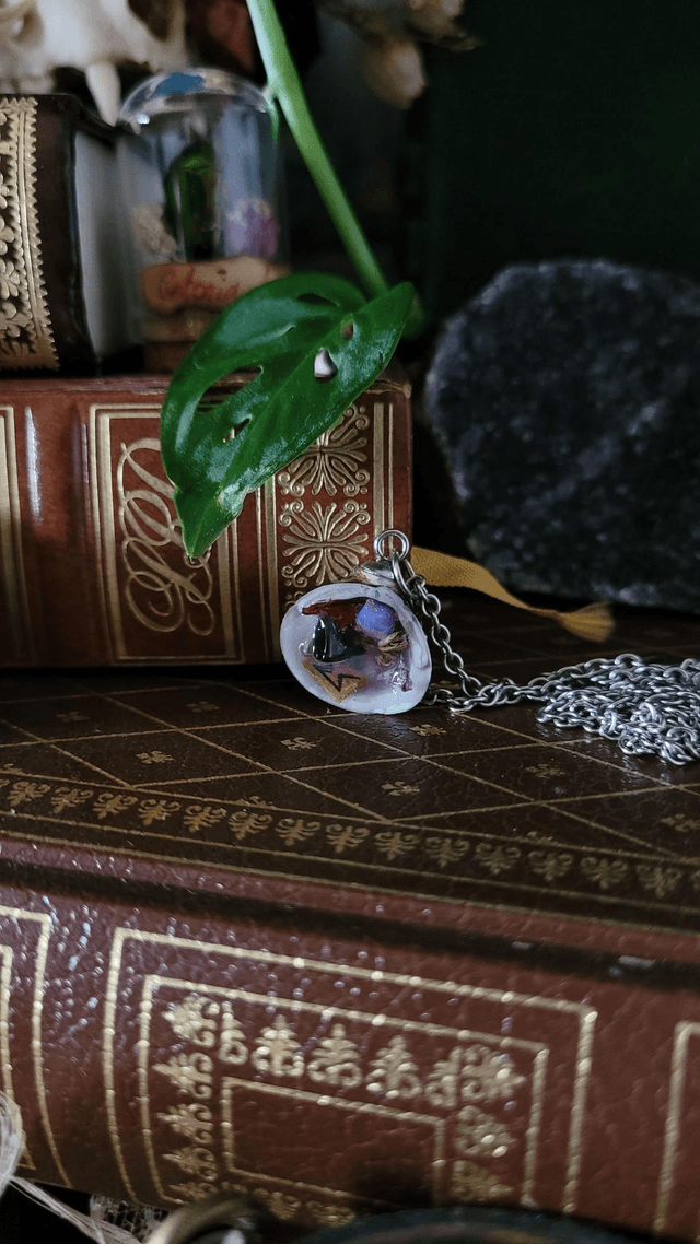 Coquillage : Divination 