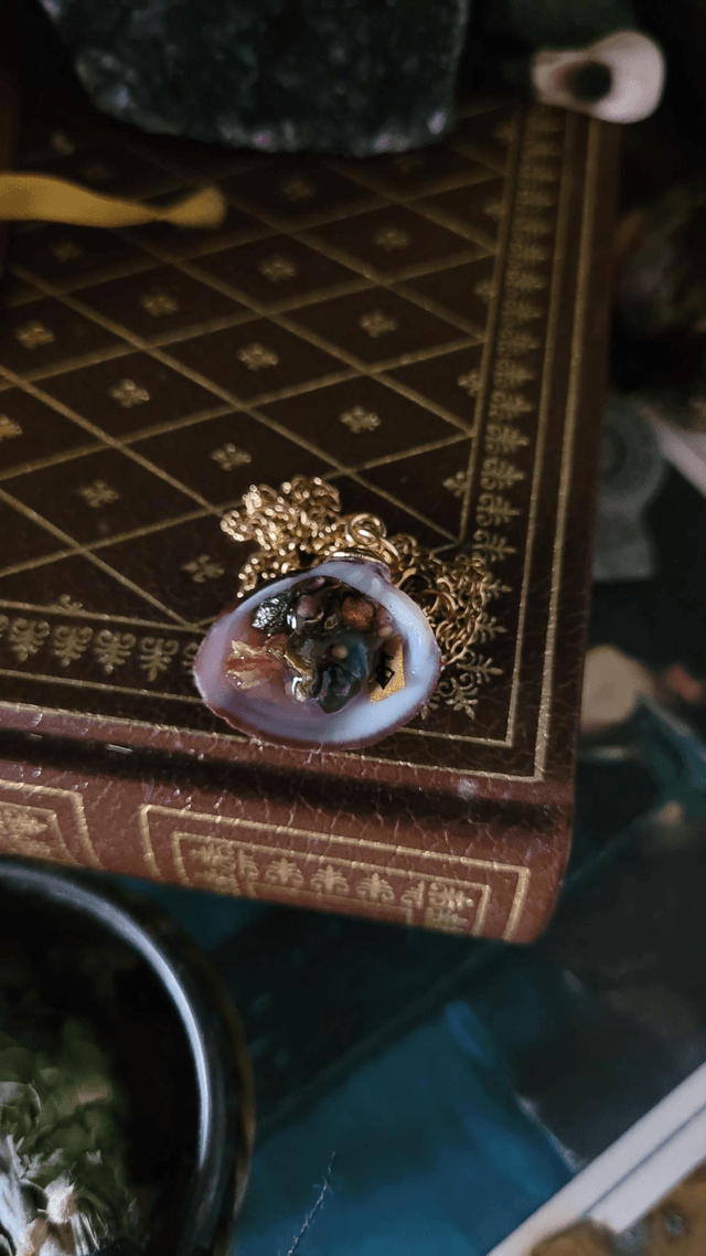 Coquillage : Réussite 