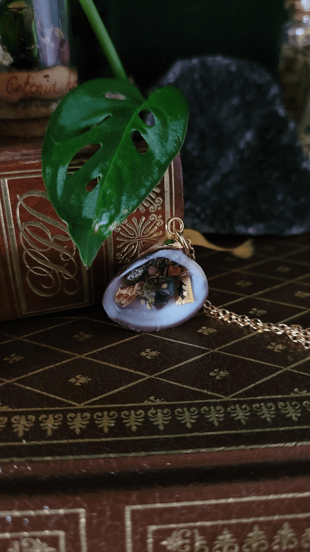 Coquillage : Réussite 
