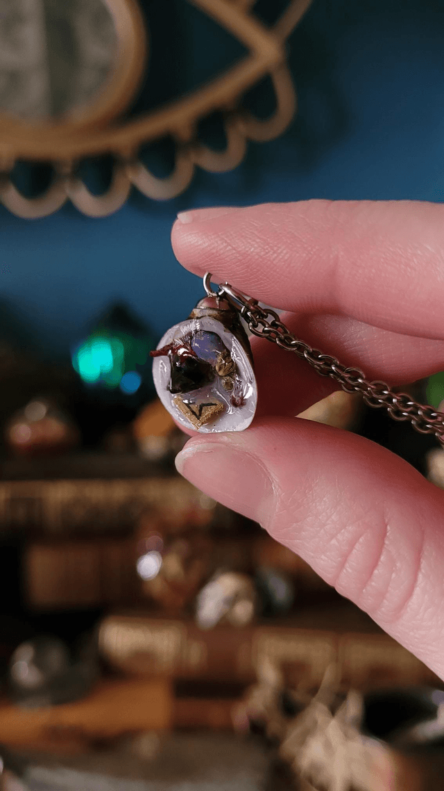 Coquillage : Divination 