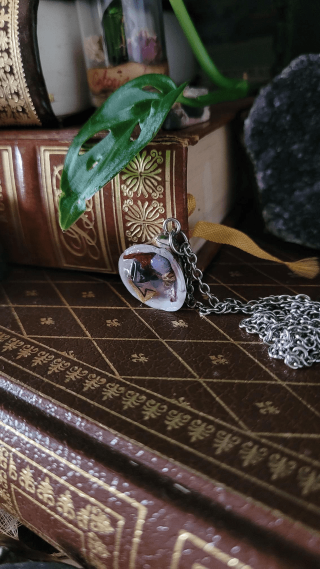 Coquillage : Divination 